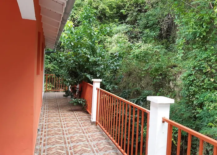 Chez JUJU